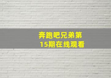 奔跑吧兄弟第15期在线观看