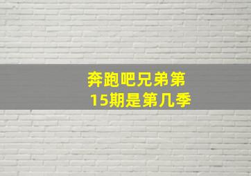 奔跑吧兄弟第15期是第几季