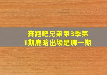 奔跑吧兄弟第3季第1期鹿晗出场是哪一期