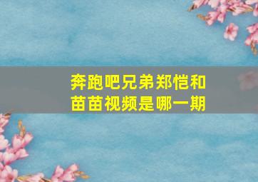 奔跑吧兄弟郑恺和苗苗视频是哪一期