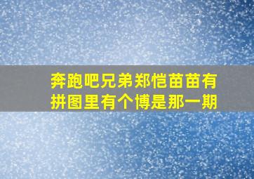 奔跑吧兄弟郑恺苗苗有拼图里有个博是那一期