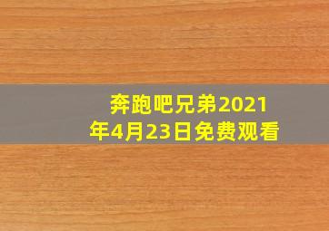 奔跑吧兄弟2021年4月23日免费观看