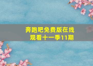 奔跑吧免费版在线观看十一季11期