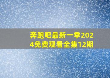 奔跑吧最新一季2024免费观看全集12期