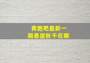 奔跑吧最新一期悬崖秋千在哪