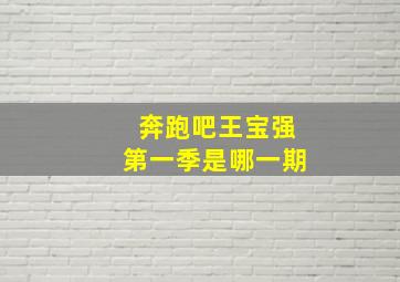 奔跑吧王宝强第一季是哪一期