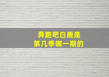 奔跑吧白鹿是第几季哪一期的