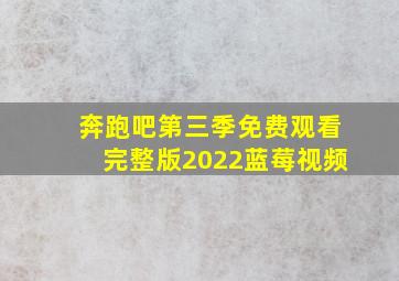 奔跑吧第三季免费观看完整版2022蓝莓视频