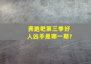 奔跑吧第三季好人凶手是哪一期?