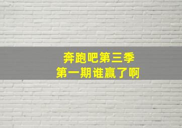 奔跑吧第三季第一期谁赢了啊