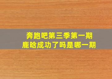 奔跑吧第三季第一期鹿晗成功了吗是哪一期