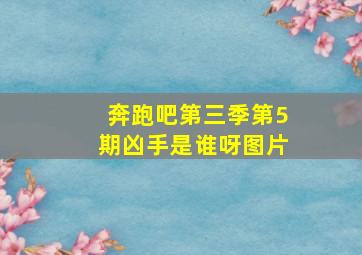 奔跑吧第三季第5期凶手是谁呀图片