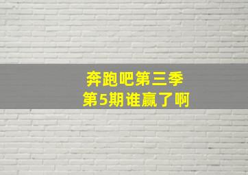 奔跑吧第三季第5期谁赢了啊