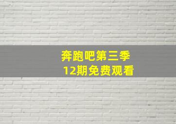 奔跑吧第三季12期免费观看