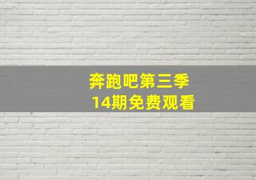 奔跑吧第三季14期免费观看