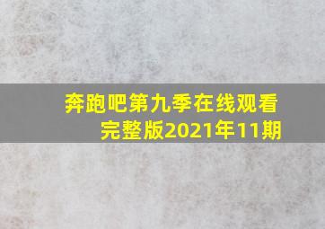 奔跑吧第九季在线观看完整版2021年11期