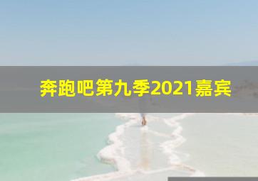 奔跑吧第九季2021嘉宾