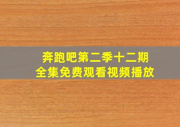 奔跑吧第二季十二期全集免费观看视频播放