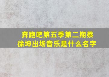 奔跑吧第五季第二期蔡徐坤出场音乐是什么名字