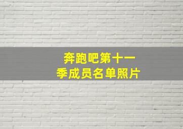 奔跑吧第十一季成员名单照片