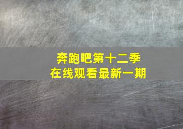 奔跑吧第十二季在线观看最新一期