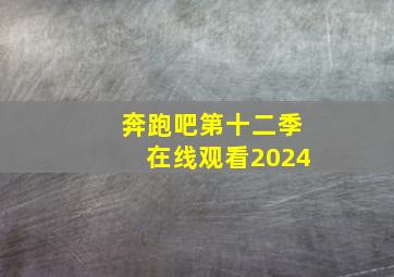 奔跑吧第十二季在线观看2024