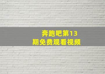 奔跑吧第13期免费观看视频