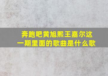 奔跑吧黄旭熙王嘉尔这一期里面的歌曲是什么歌