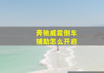 奔驰威霆倒车辅助怎么开启