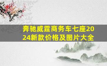 奔驰威霆商务车七座2024新款价格及图片大全