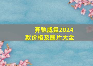 奔驰威霆2024款价格及图片大全