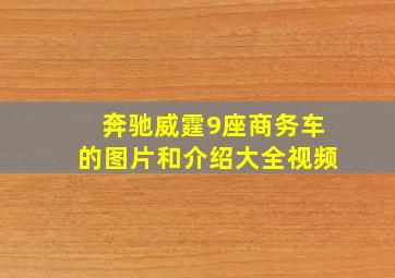 奔驰威霆9座商务车的图片和介绍大全视频