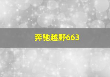 奔驰越野663