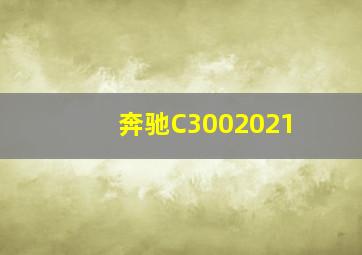 奔驰C3002021