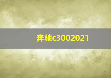 奔驰c3002021