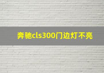 奔驰cls300门边灯不亮