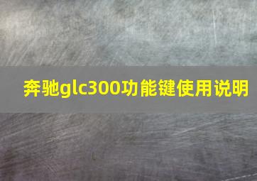 奔驰glc300功能键使用说明