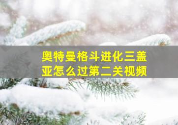 奥特曼格斗进化三盖亚怎么过第二关视频