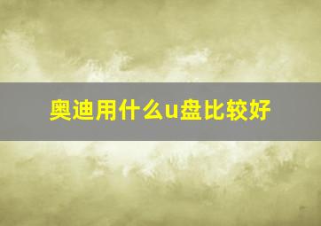 奥迪用什么u盘比较好