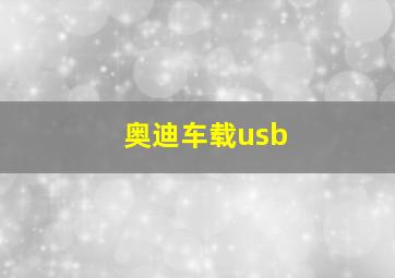 奥迪车载usb