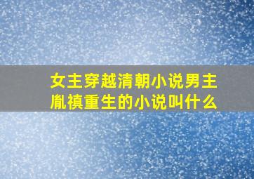 女主穿越清朝小说男主胤禛重生的小说叫什么