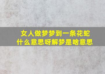 女人做梦梦到一条花蛇什么意思呀解梦是啥意思