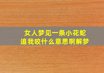 女人梦见一条小花蛇追我咬什么意思啊解梦