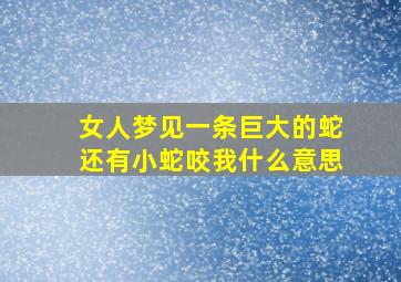 女人梦见一条巨大的蛇还有小蛇咬我什么意思