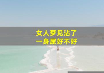 女人梦见沾了一身屎好不好