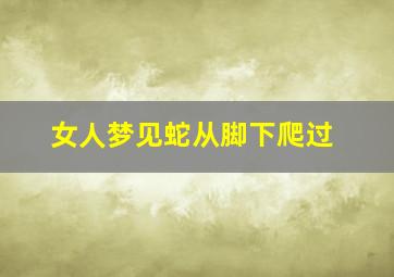 女人梦见蛇从脚下爬过