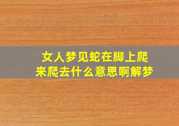 女人梦见蛇在脚上爬来爬去什么意思啊解梦