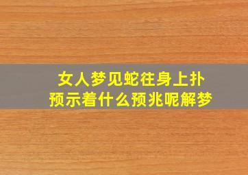 女人梦见蛇往身上扑预示着什么预兆呢解梦