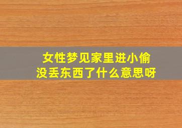 女性梦见家里进小偷没丢东西了什么意思呀