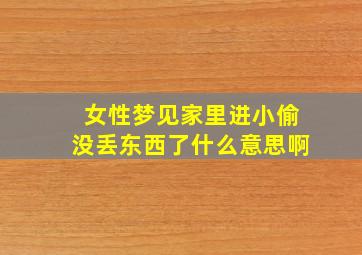 女性梦见家里进小偷没丢东西了什么意思啊